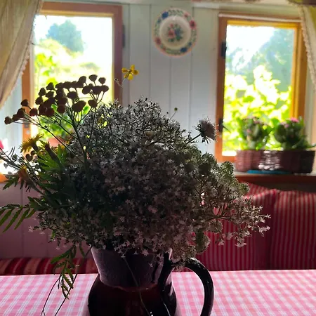 Chalupka Janka Tvrdosin