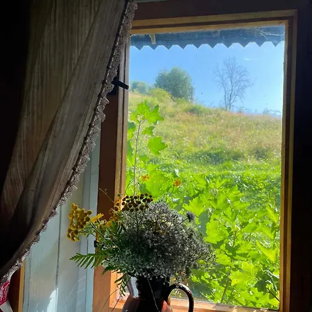 Chalupka Janka *